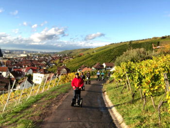 Segway Tour durch die Weinberge, Sommerevent